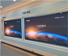利亚德TVF 015