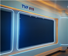 利亚德TVF 015