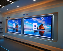 利亚德TVF 015